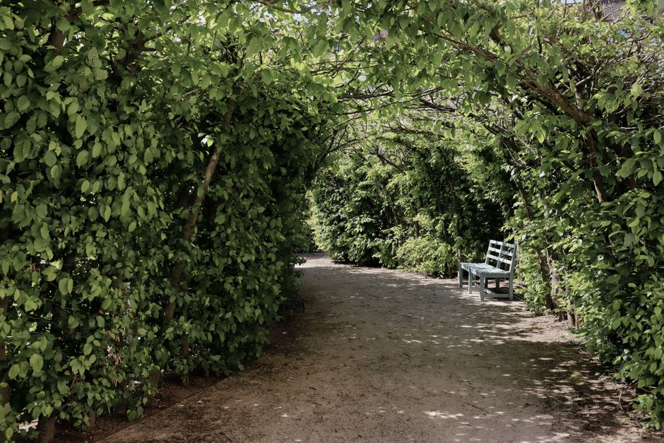 A peaceful garden path in Morschen, Germany, framed by lush greenery and a wooden bench.