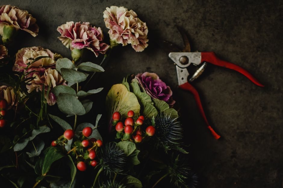 7 Tidy Garden Shed Fixes That Save Growing Space