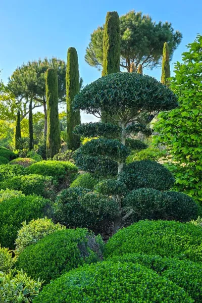 What is a blobbery? And why your garden needs balls, clouds and lollipops