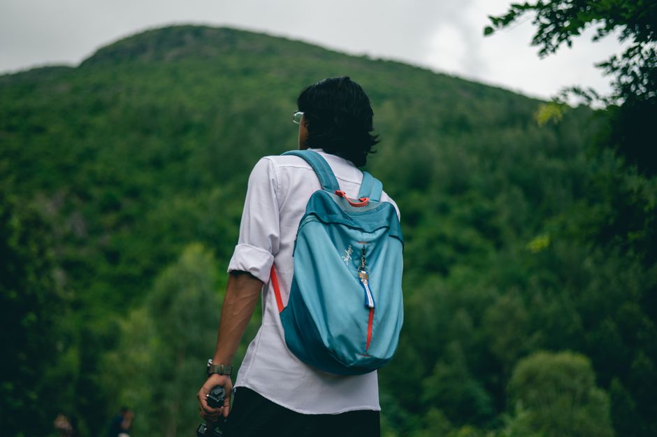 A man with a backpack hikes through a lush green forest during daytime.