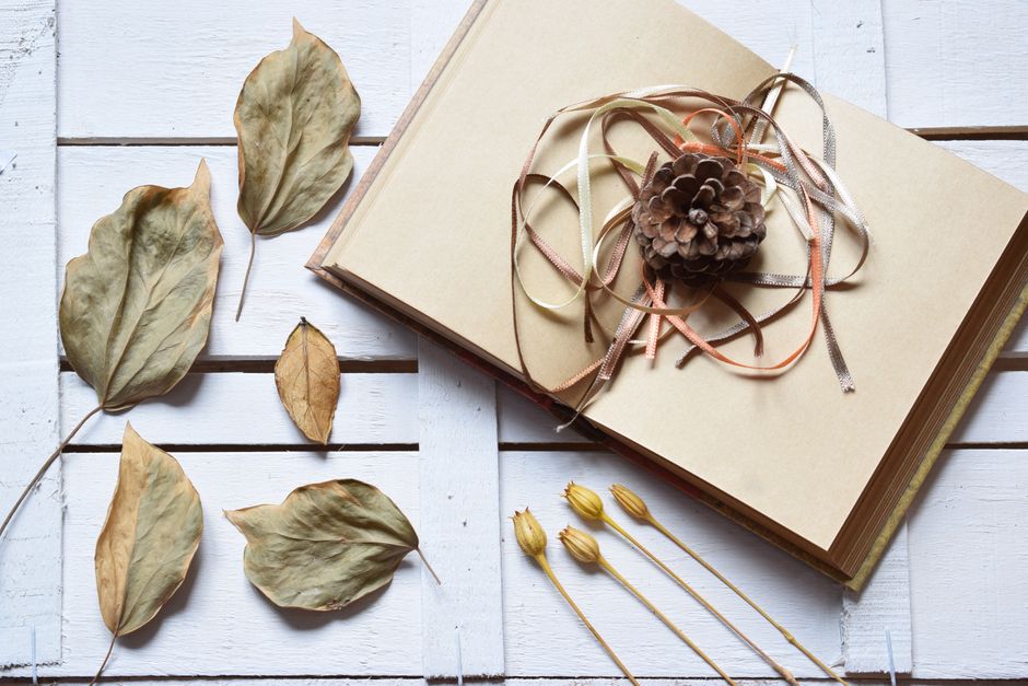 Open notebook with pine cone and leaves, perfect for autumn-themed designs. Ideal for creative planning.