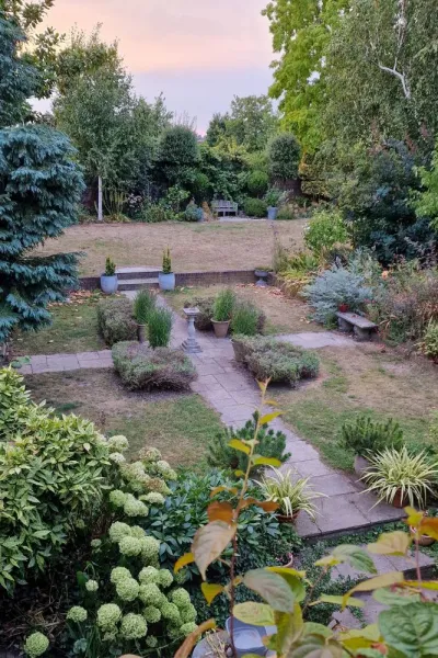 7 summer garden problems and what to do about them