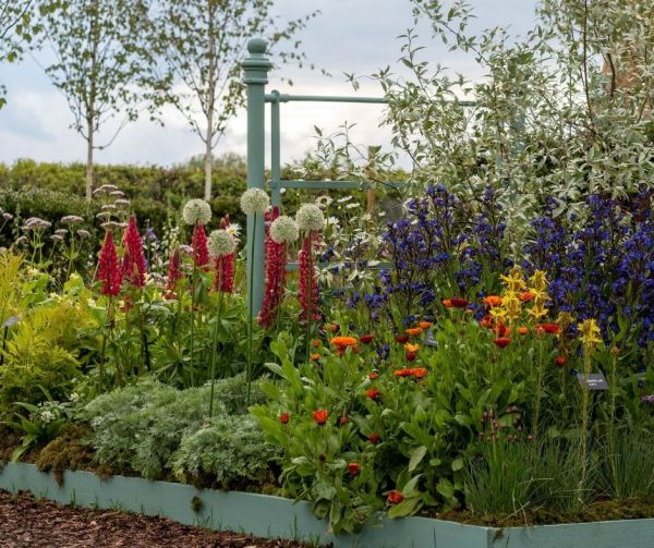 Perennials made simple – how to choose and grow the best plants for your borders