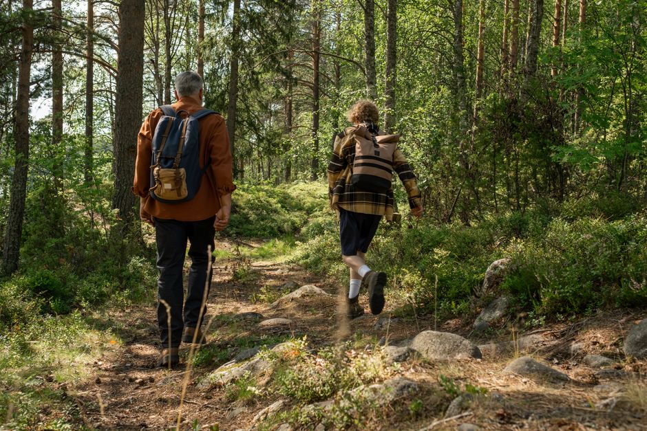 A grandfather and grandson enjoying a nature hike in a sunny summer forest.