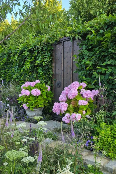 Garden Ideas from RHS Hampton Court 2025 That You Can Use at Home
