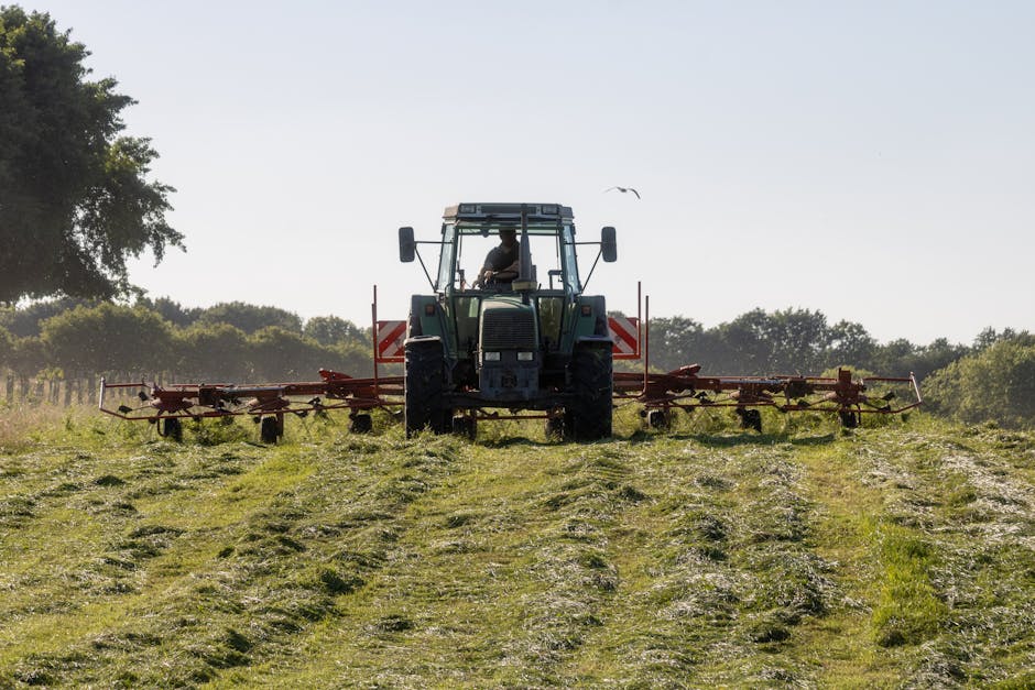 A tractor operates in a sunny rural field, plowing farmland for harvest season.