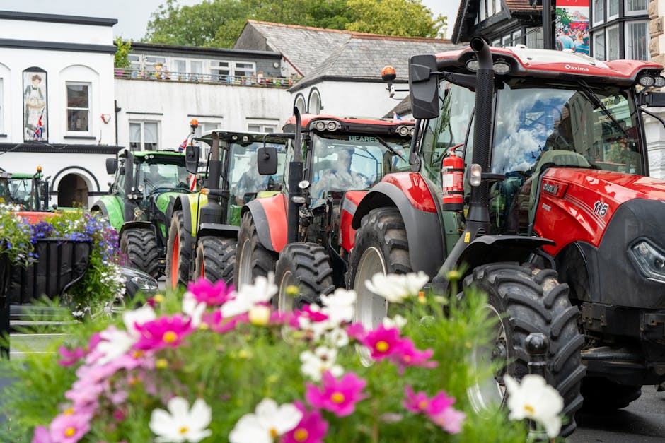 Tractors lined up in a picturesque rural village during a summer tractor rally.