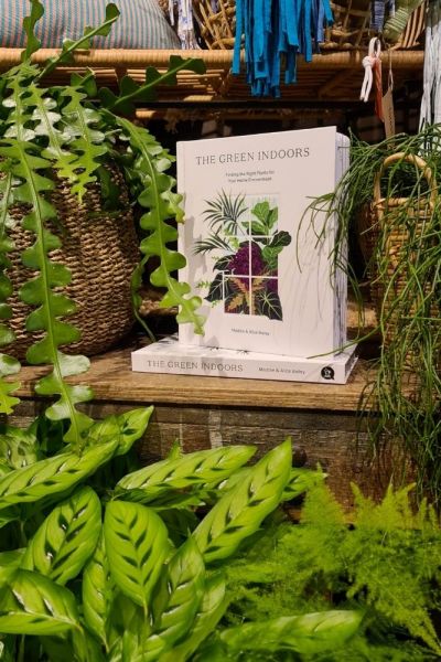 Indoor outdoor plants: 9 garden plants that also thrive as house plants