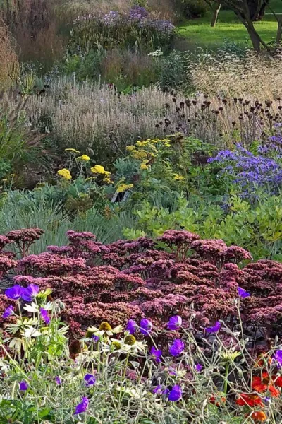 5 lessons in planting style from the new Oudolf borders at RHS Wisley