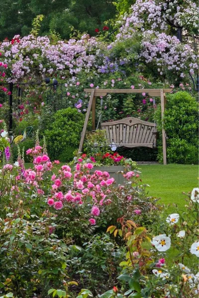 Rose garden ideas – how to choose a rose for an obelisk, arch, fence or pergola