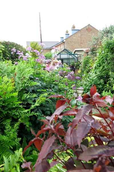 3 very simple things you can do to create an eco friendly garden