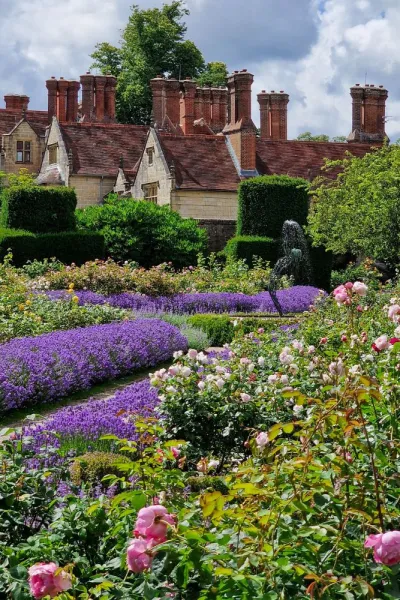 Dying plants in your garden? Top tips on how to save them from the summer weather.