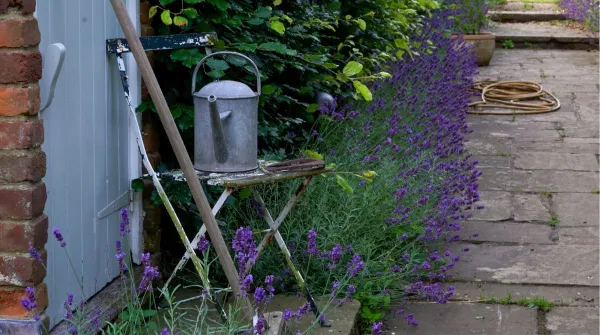 Garden Watering Strategies – How to Save Time, Effort and Money!