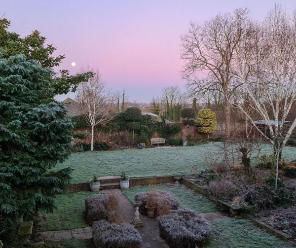 Late winter gardening jobs – what to do and what not to do!