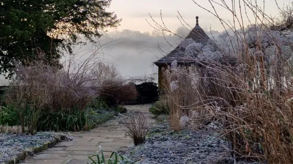 The 20 Best Plants for Seedheads – Beauty, Wildlife and Less Work in the Garden