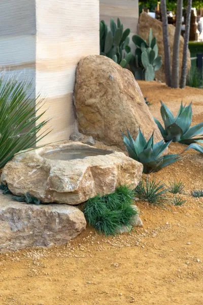 6 trending ideas for your garden from RHS Hampton Court 2023