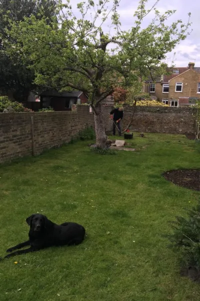 A small wildlife garden for towns and cities – and it’s really easy to maintain