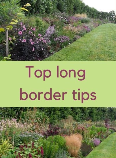 What you need to know to create an outstanding perennial border