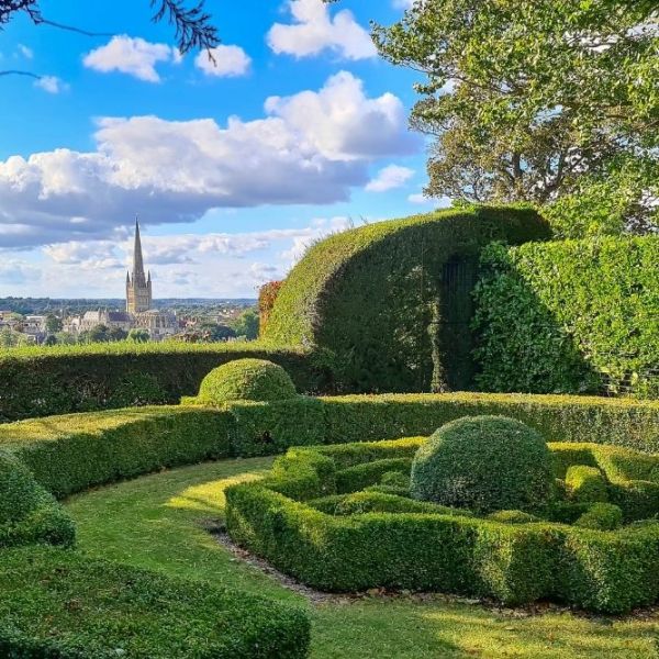 A clever evergreen garden with a touch of grandeur