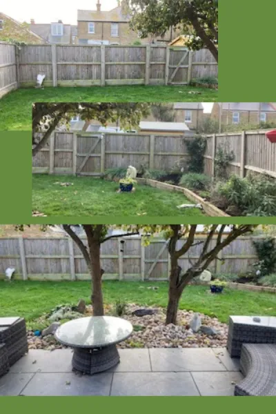 How to turn a wide shallow backyard into the perfect garden