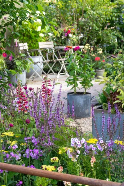Best cottage garden plants – 25 beautiful flowers to grow