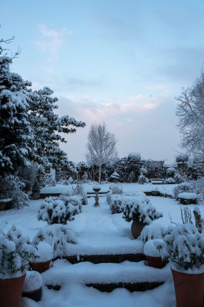 Sensible answers to the top ‘is it too late to’ gardening questions