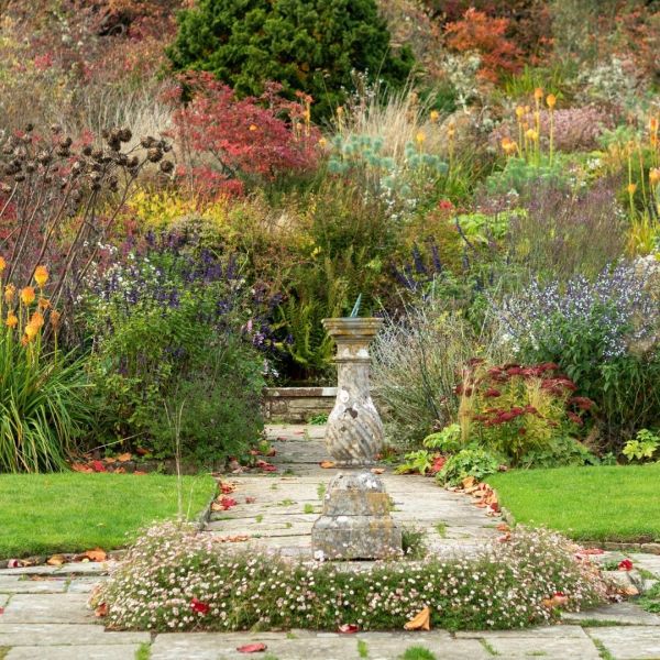 Six top shrubs for late season colour