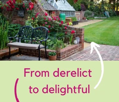 Where do you start with a neglected garden?