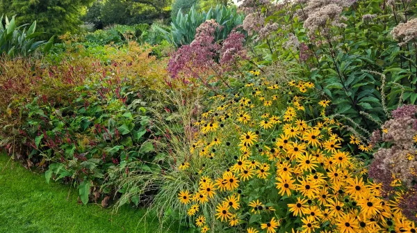 12 Autumn Perennials for Sun and Shade: Resilient Border Ideas from Beth Chatto’s Head Gardener