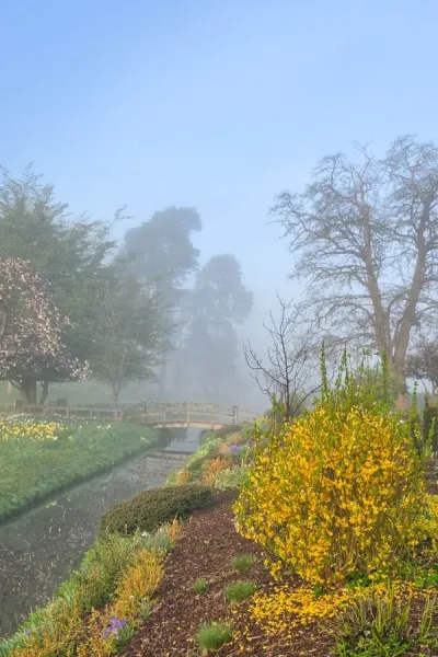 8 easy-care – but forgotten – shrubs for beautiful blossom