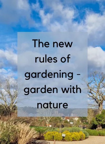 Gardening for biodiversity – why changing the rules is good news for garden lovers!