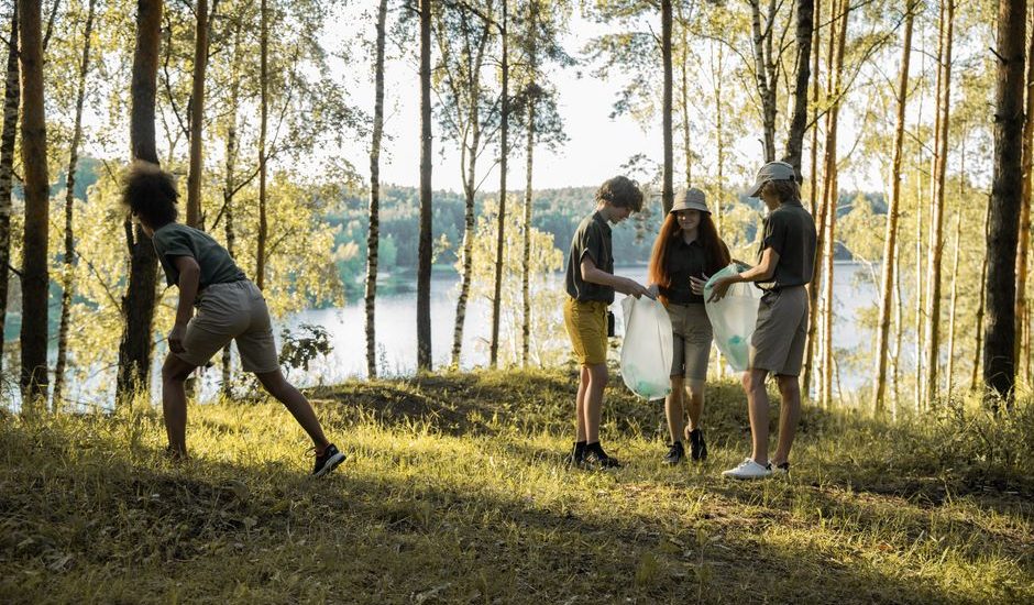 Sustainable Summer Grilling: Eco Grilling and Picnic Planning: What Works vs. What’s Marketing