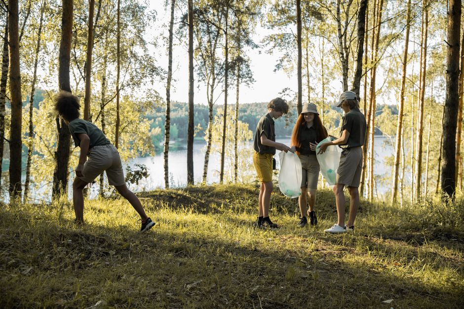 Sustainable Summer Grilling: Eco Grilling and Picnic Planning: What Works vs. What’s Marketing