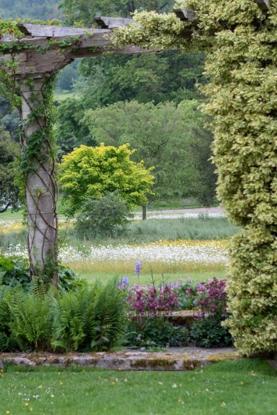 How to create stunning garden borders – 12 essential tips