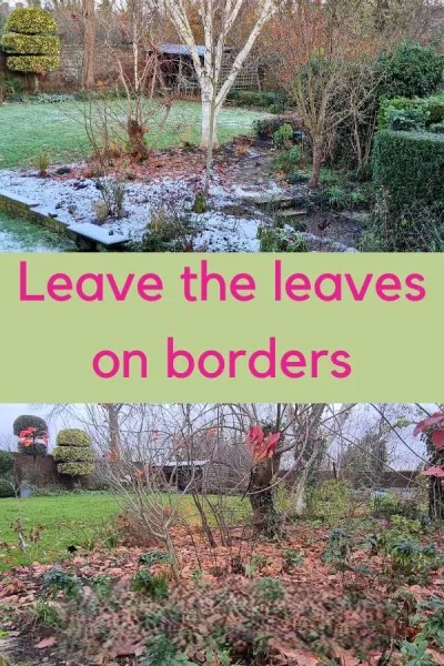 Leave the leaves – the new, easy way to deal with autumn gardens