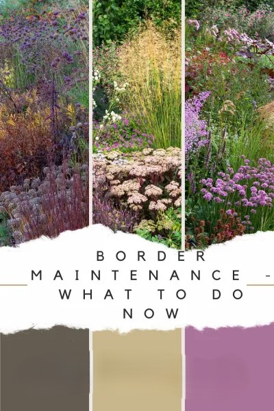 Brilliant border maintenance – what to do now for next summer’s success