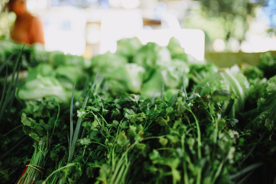 Harvesting Herbs And Edible Blooms In Midsummer Heat: Harvest Herbs and Edible Blooms in Midsummer Heat