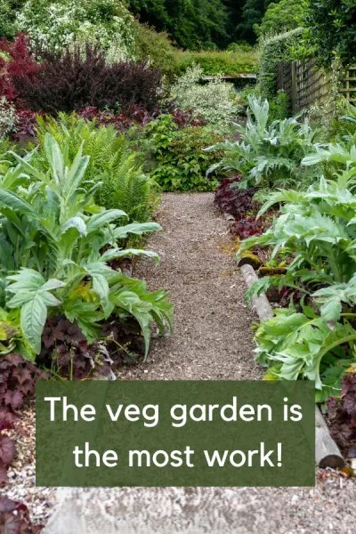 The Low Maintenance Garden That Really Looks Fabulous